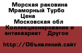 Морская раковина Мраморный Турбо  › Цена ­ 17 000 - Московская обл. Коллекционирование и антиквариат » Другое   